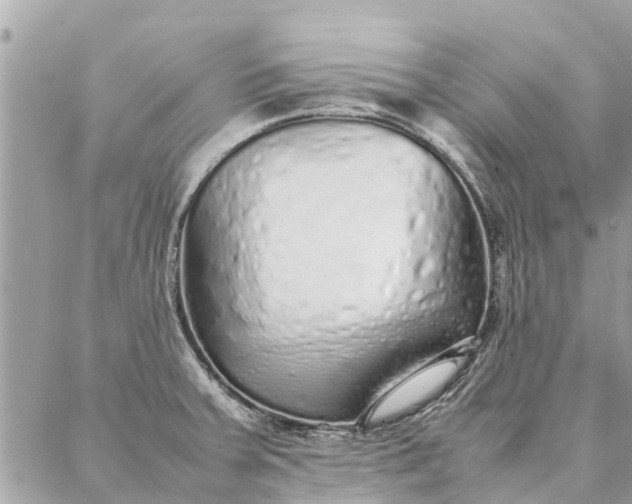 X0000087361379200705041844