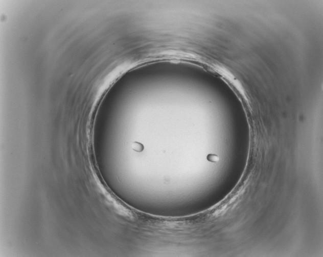 X0000087361381200705041844