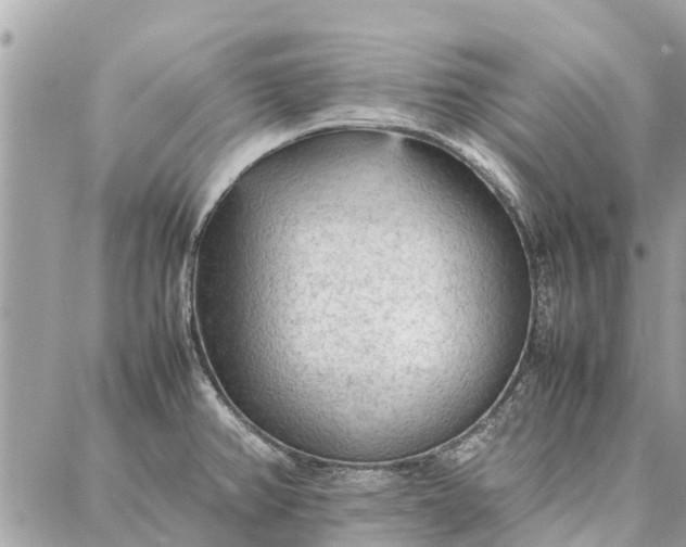 X0000087361382200705041844