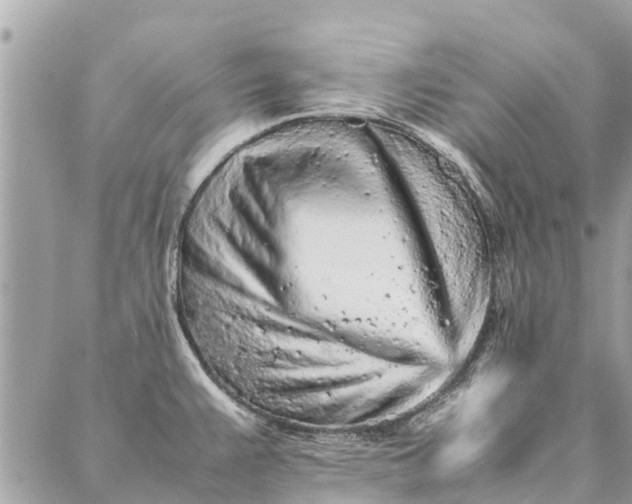 X0000087361383200705041844