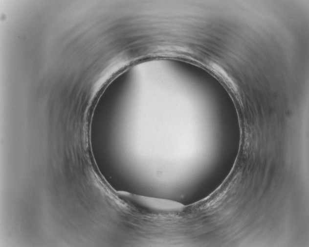 X0000087361384200705041844