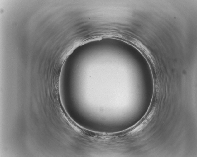 X0000087361385200705041844