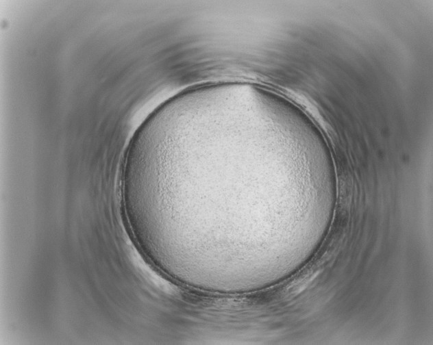 X0000087361387200705041844