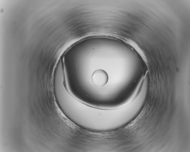 X0000087361388200705041844