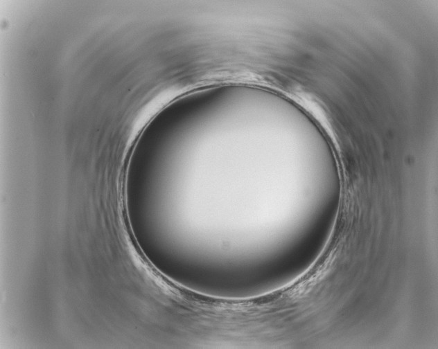 X0000087361389200705041844