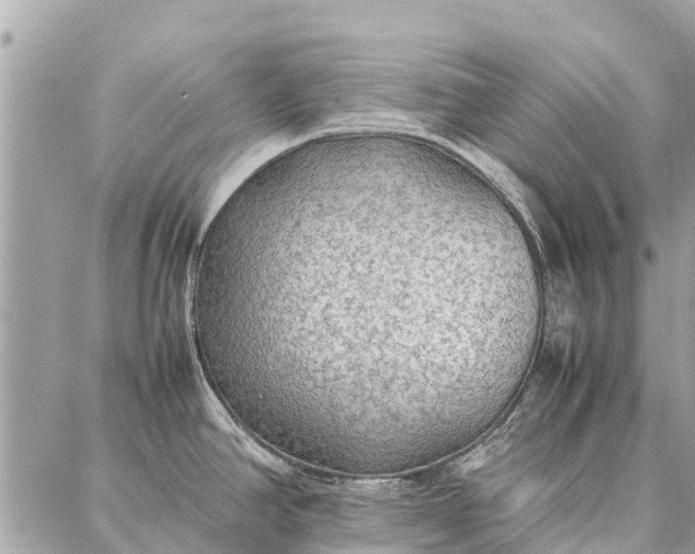 X0000087361390200705041844