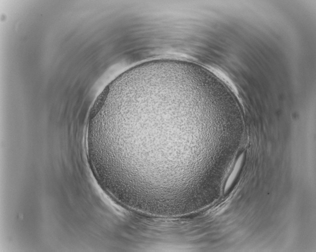 X0000087361391200705041844