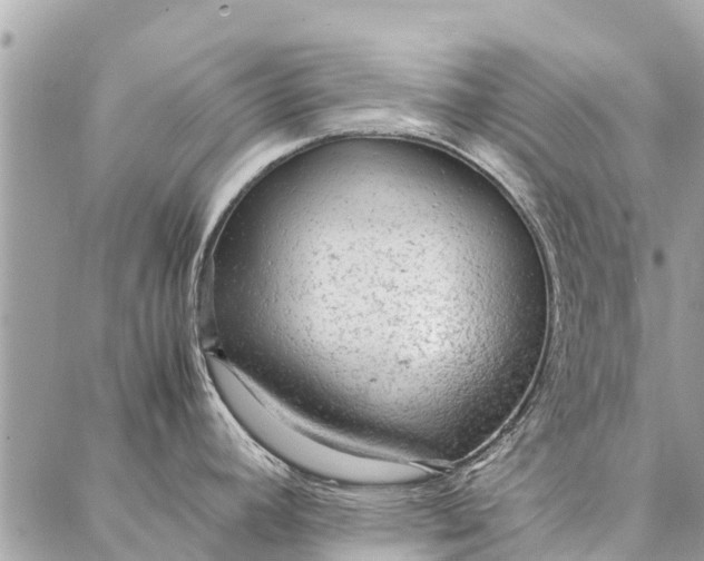 X0000087361392200705041844