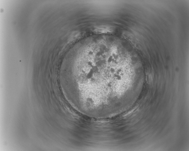 X0000087361393200705041843