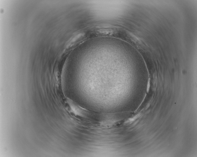 X0000087361394200705041843