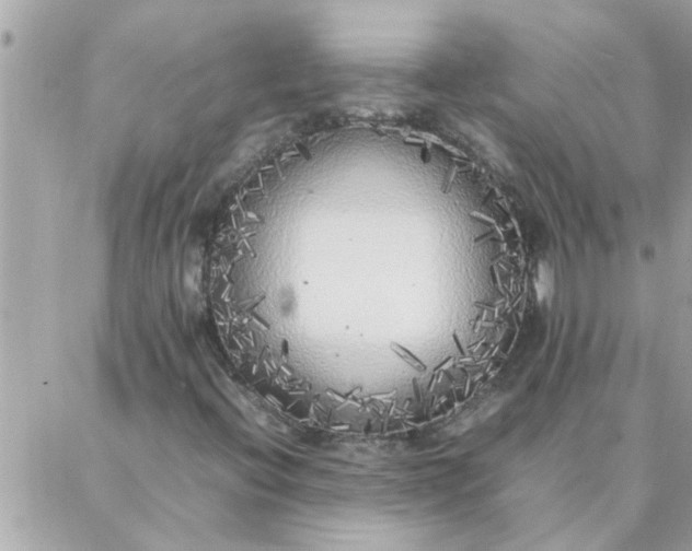 X0000087361396200705041843