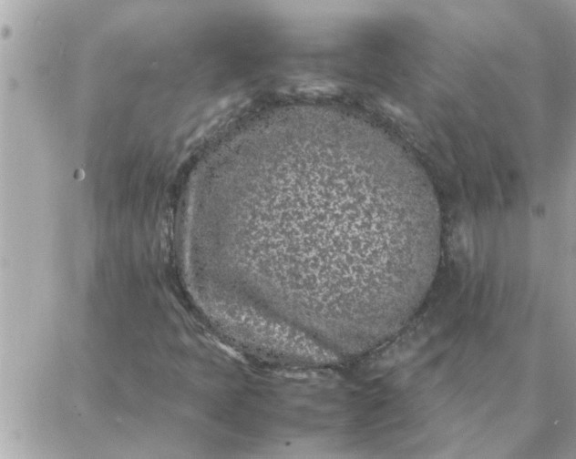 X0000087361397200705041843