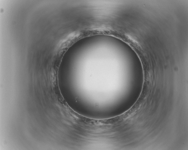 X0000087361398200705041843