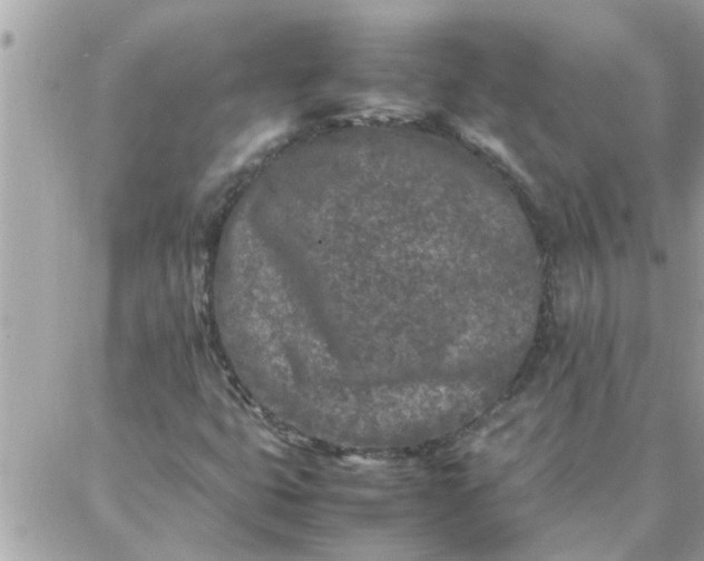 X0000087361399200705041843