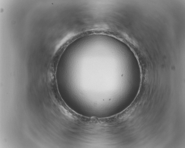 X0000087361400200705041843