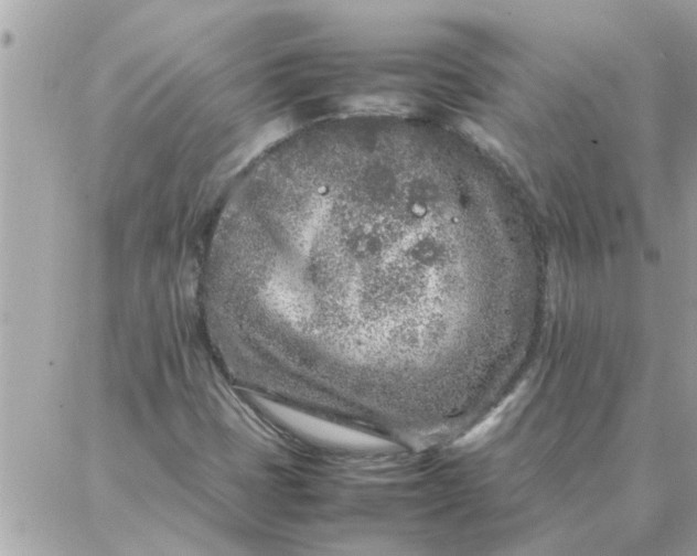 X0000087361401200705041843