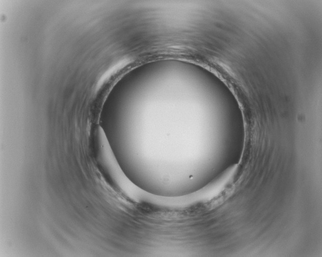 X0000087361402200705041843