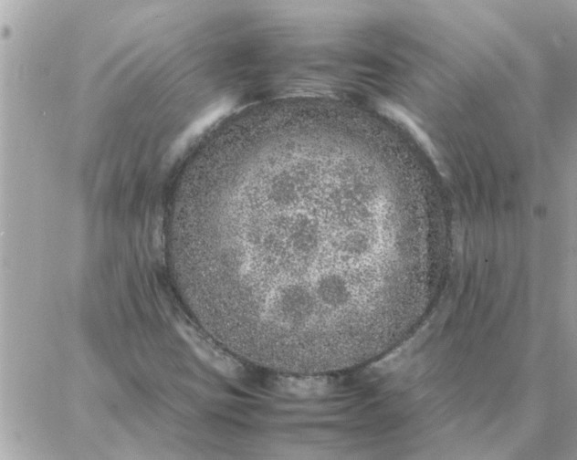 X0000087361403200705041843