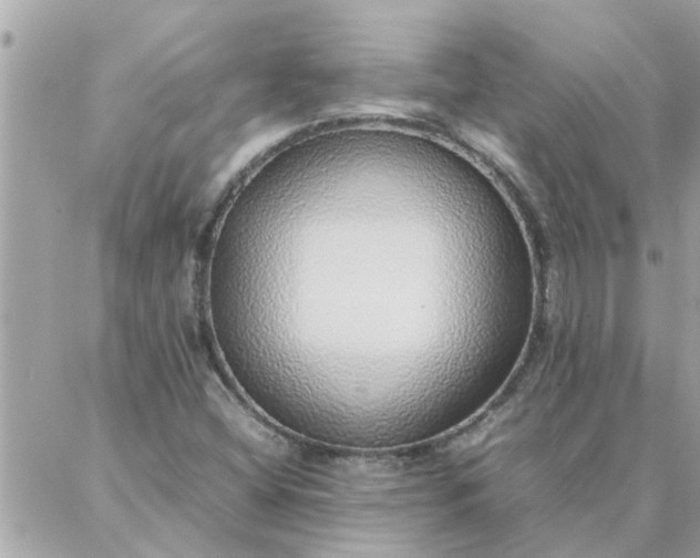 X0000087361404200705041843