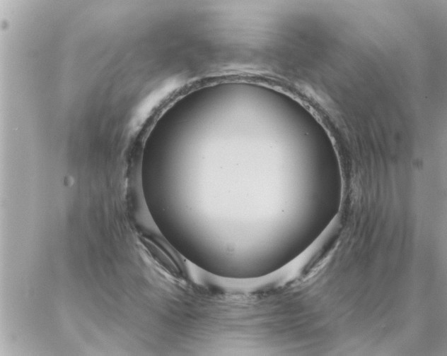 X0000087361406200705041843