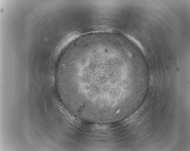 X0000087361407200705041843