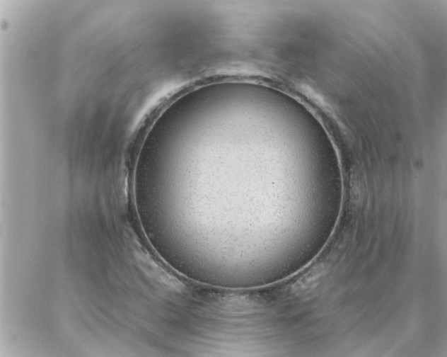 X0000087361408200705041843