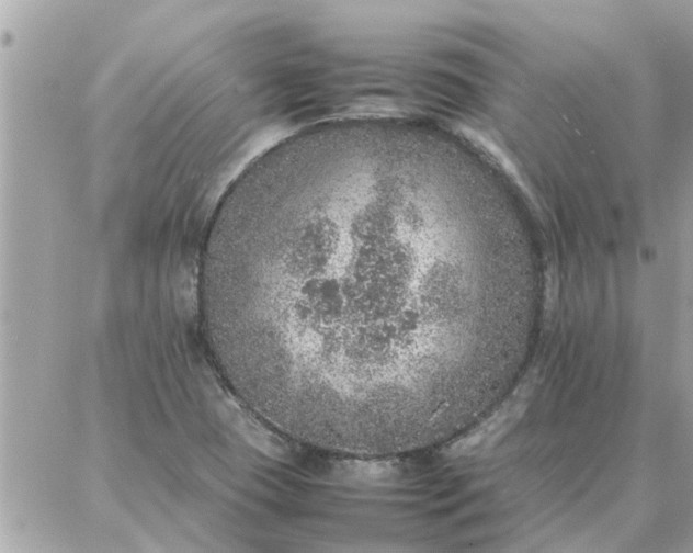 X0000087361409200705041844