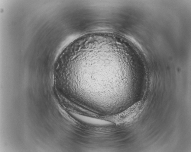 X0000087361413200705041844