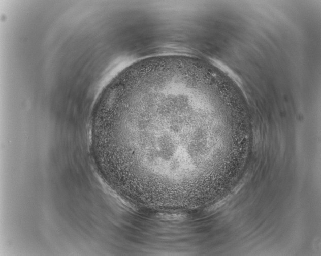 X0000087361415200705041844