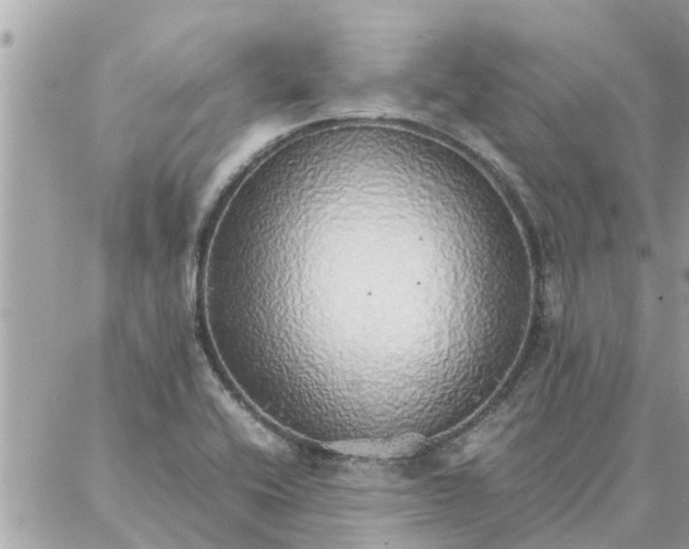 X0000087361416200705041844