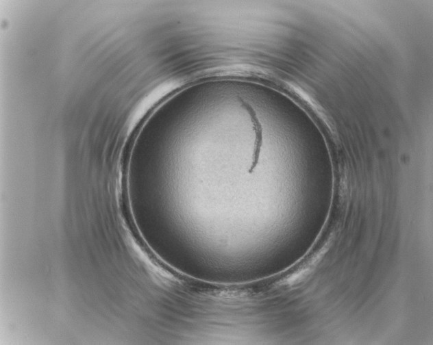 X0000087361418200705041844