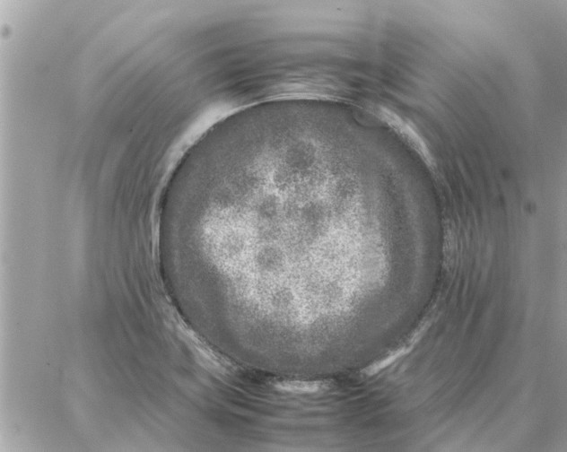 X0000087361419200705041844