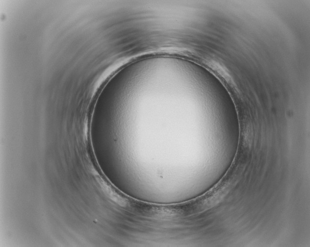 X0000087361420200705041844