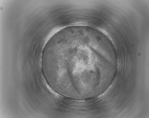 X0000087361421200705041844