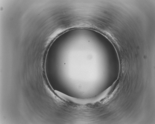 X0000087361422200705041844