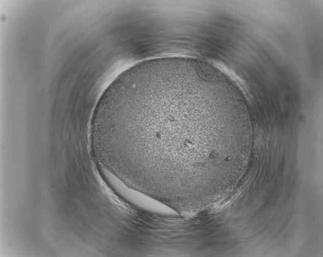 X0000087361423200705041844