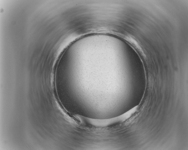 X0000087361424200705041844