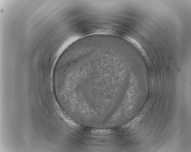 X0000087361427200705041844