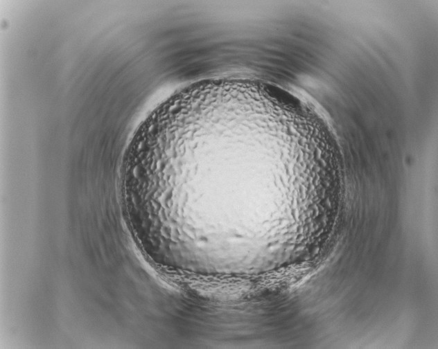 X0000087361429200705041844