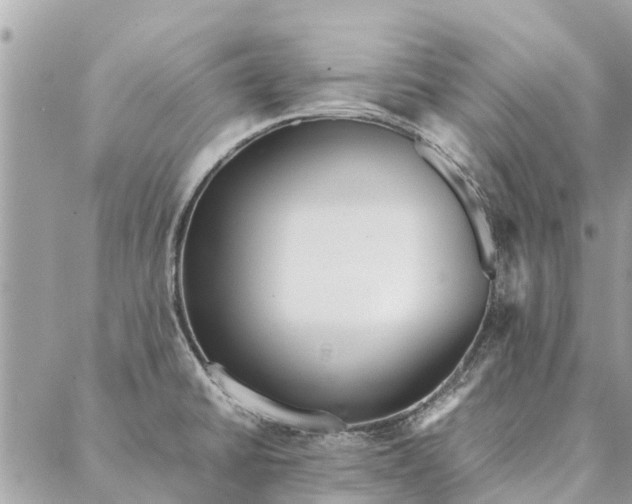 X0000087361430200705041844