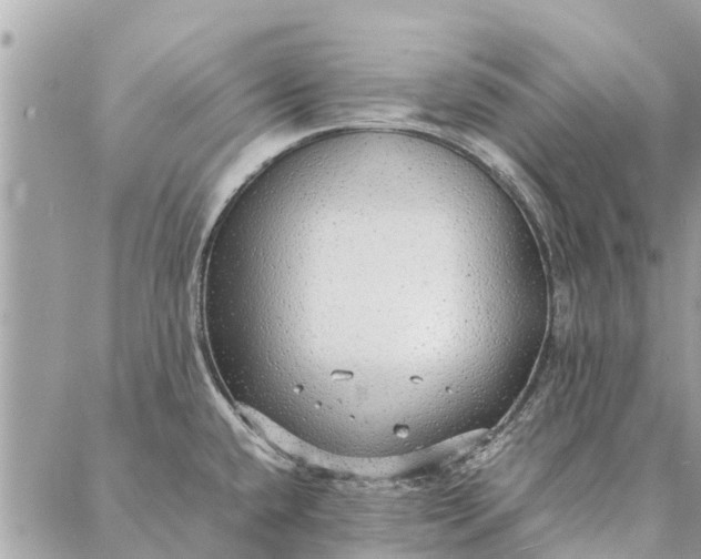 X0000087361432200705041844