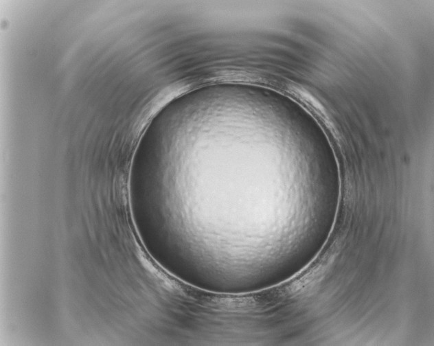 X0000087361433200705041844