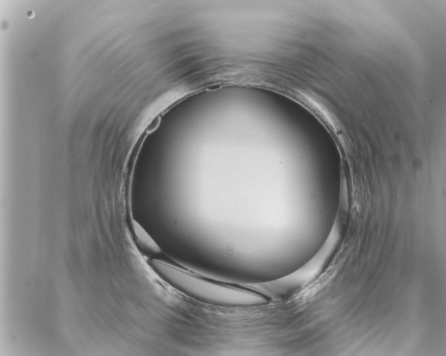 X0000087361434200705041844