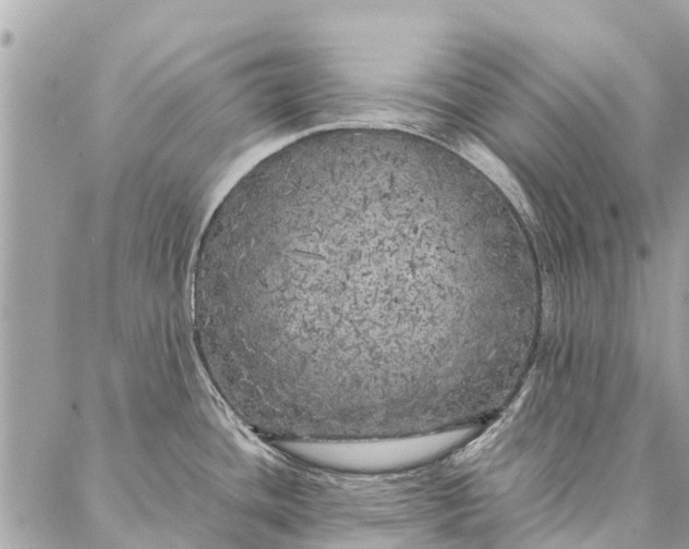 X0000087361436200705041844