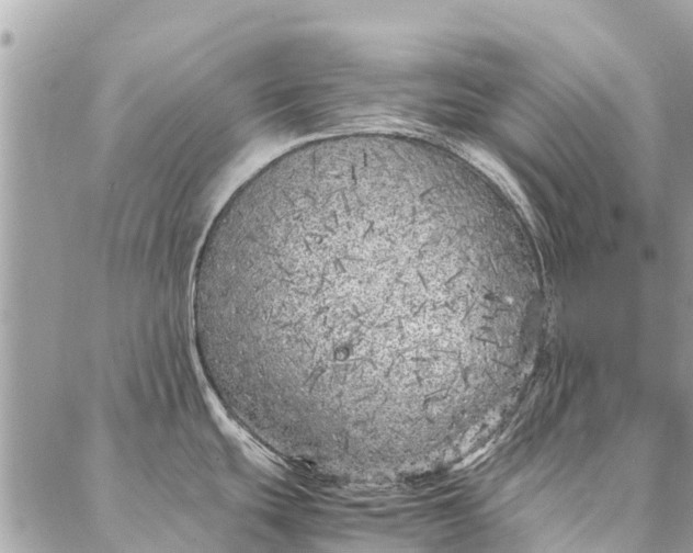 X0000087361439200705041844