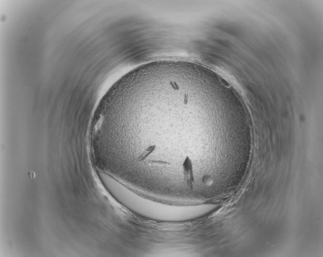 X0000087361440200705041844