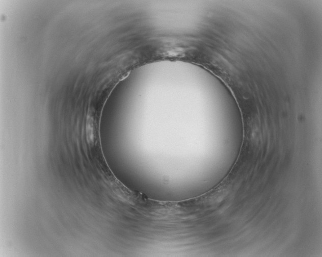 X0000087361442200705041843