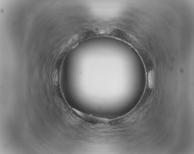 X0000087361443200705041843