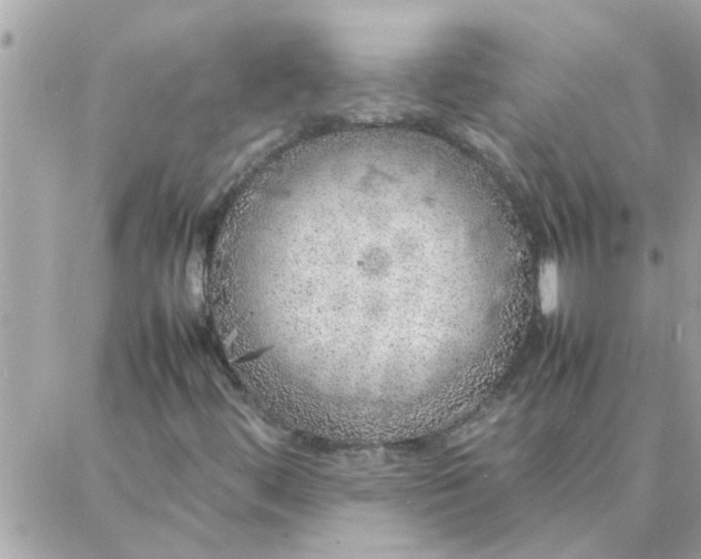 X0000087361444200705041843