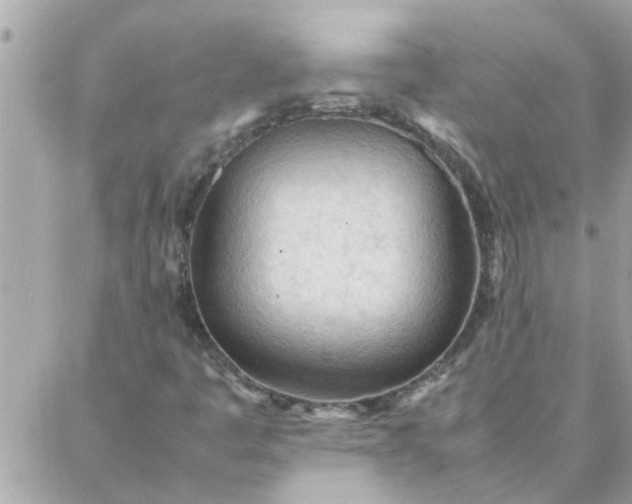 X0000087361445200705041843